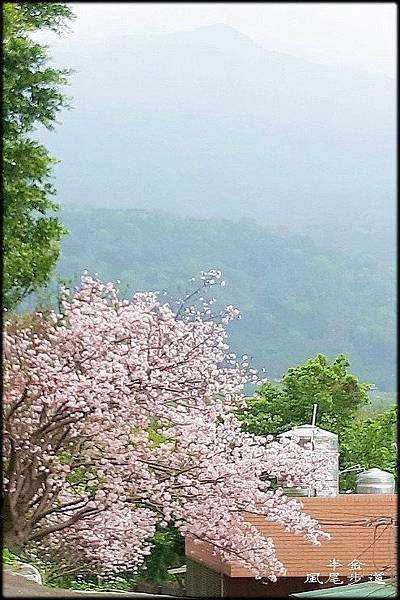 風尾步道-2_036.jpg