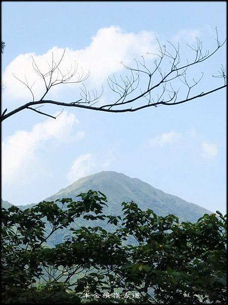 橫嶺古道_035.jpg