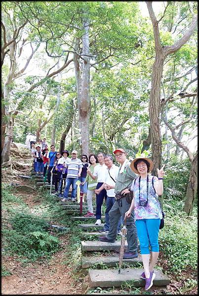 大板根原始森林區-A3_035.jpg