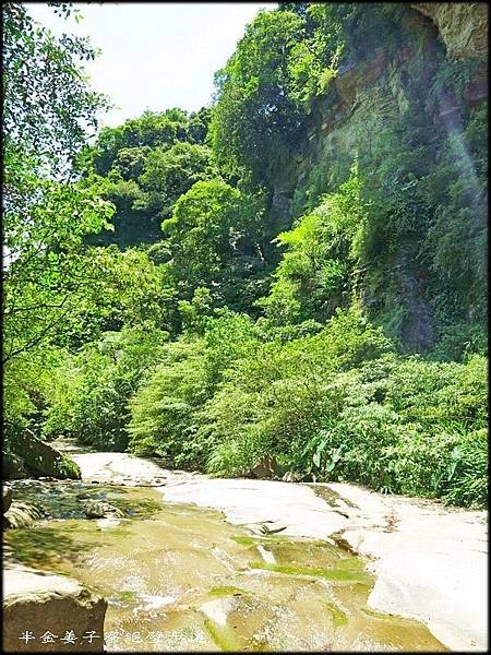 姜子寮絕壁步道_034.jpg