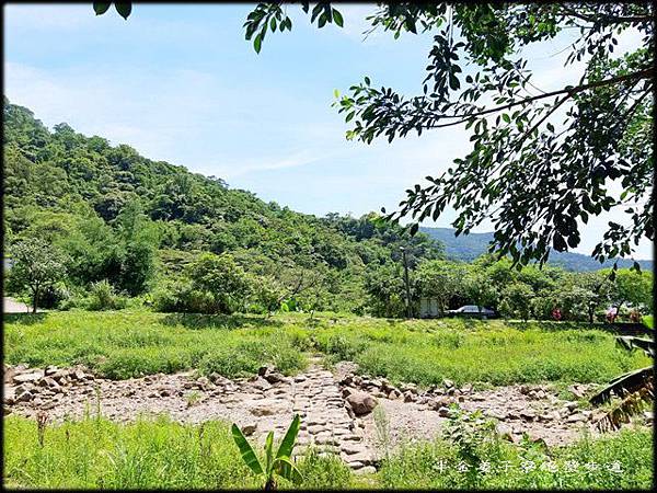 姜子寮絕壁步道-4_034.jpg