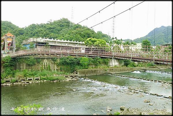 坪林親水吊橋_012.jpg