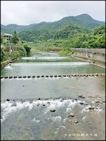 坪林觀魚步道_002.jpg