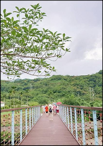 坪林觀魚步道_010.jpg