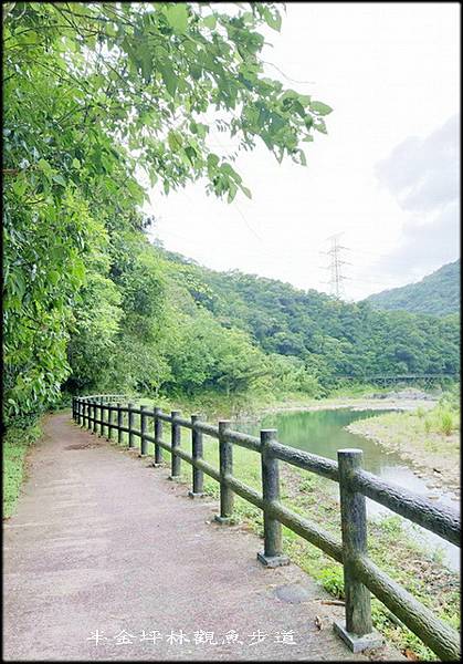 坪林觀魚步道_018.jpg