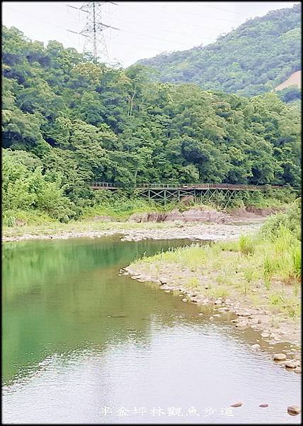 坪林觀魚步道_020.jpg