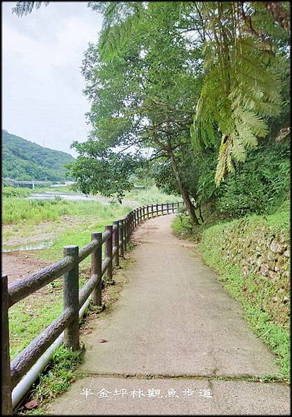 坪林觀魚步道_023.jpg