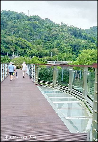 坪林觀魚步道-1_011.jpg