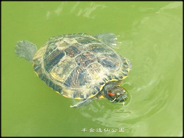 台北車站逍遙遊_018.jpg