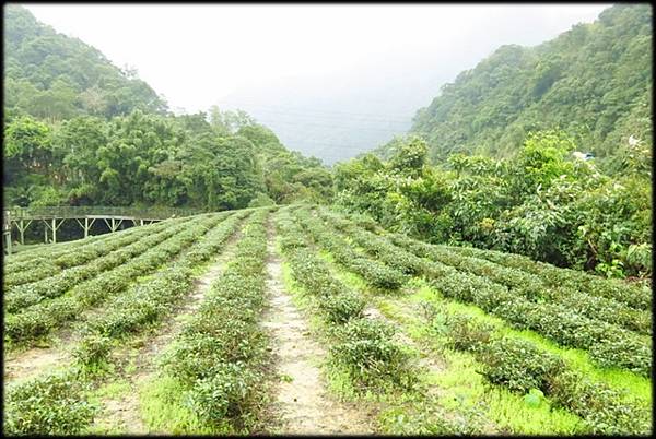 北勢溪自行車步道_010.jpg