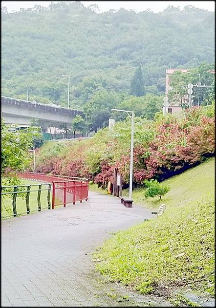 北勢溪自行車步道-1_019.jpg