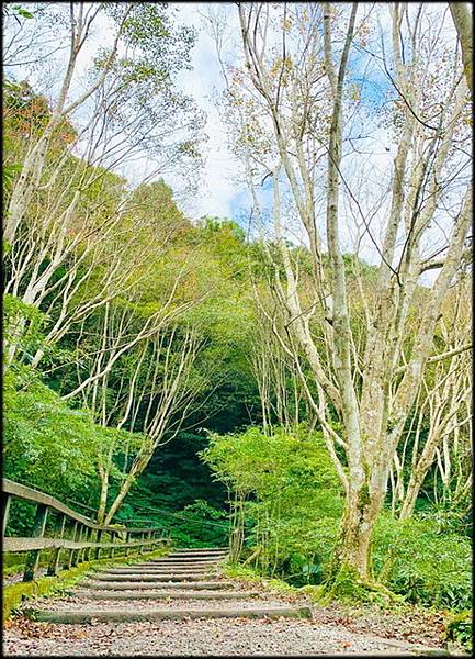 滿月圖森林遊樂區-2_051.jpg