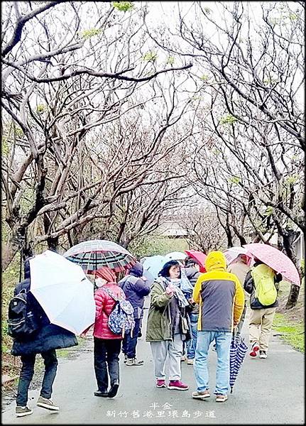 新竹舊港里環島步道-1_001.jpg