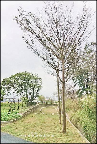 新竹舊港里環島步道-2_020.jpg