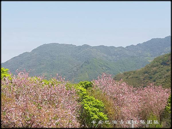 巴陵古道生態園區 -3_015.jpg