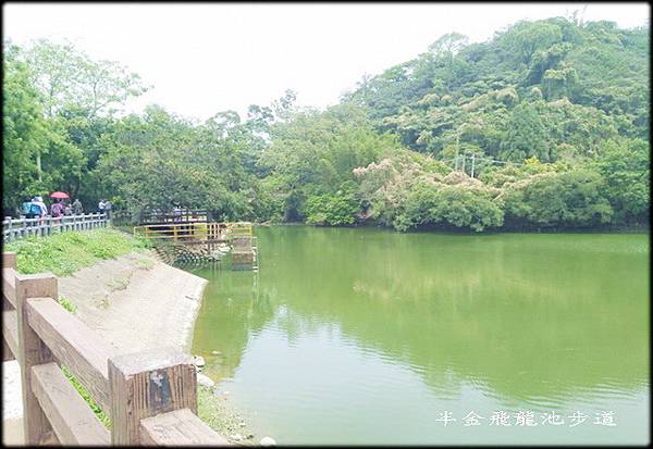 飛龍池步道-1_007.jpg