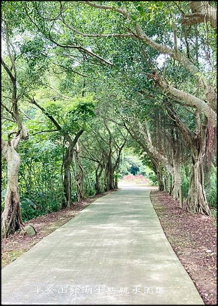 山豬湖生態親水公園-2_003.jpg