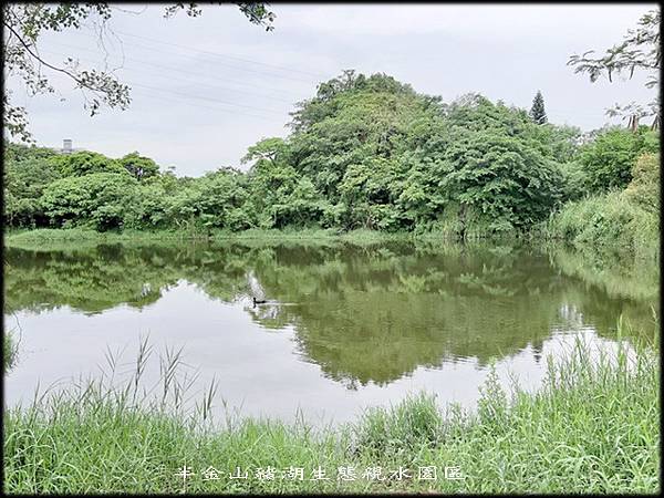 山豬湖生態親水園區_025.jpg