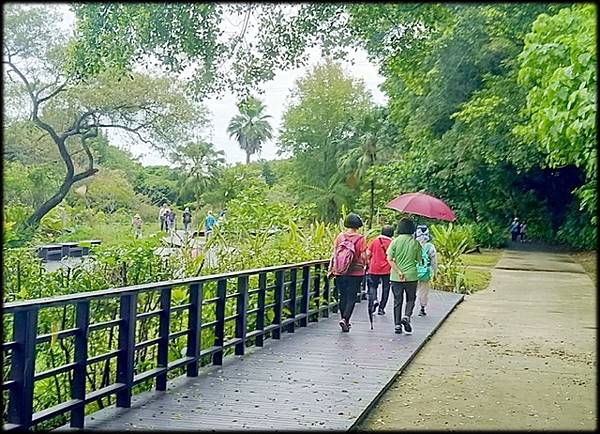 山豬湖生態親水園區-1_008.jpg