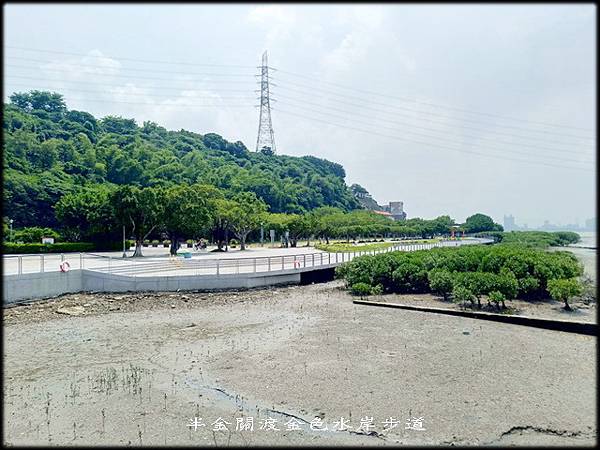 關渡金色水岸步道_046.jpg