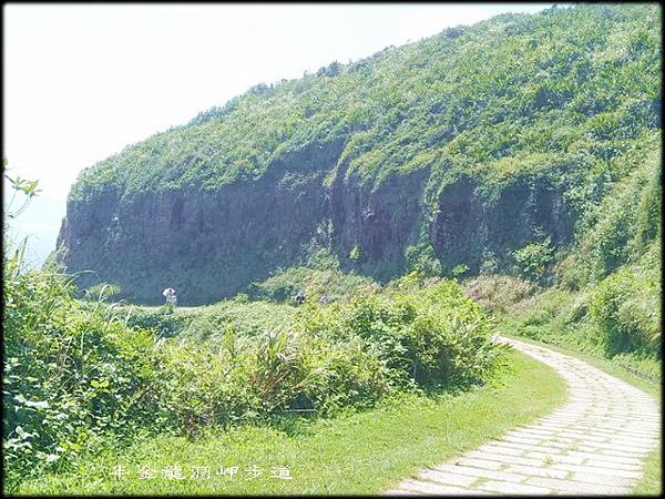 龍洞岬步道-1_012.jpg