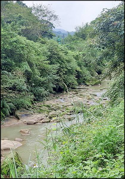 烏塗溪步道_040.jpg