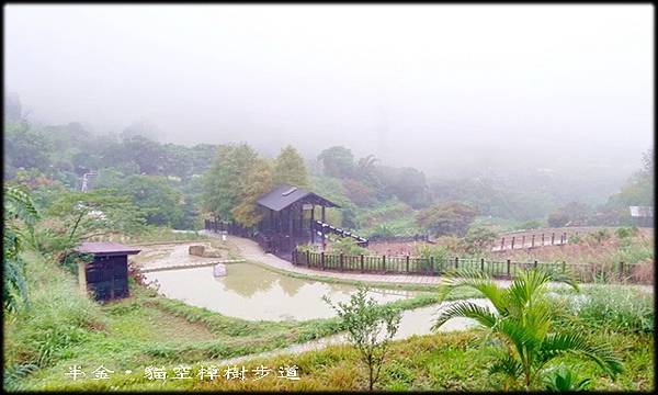 貓空樟樹步道-1_005.jpg