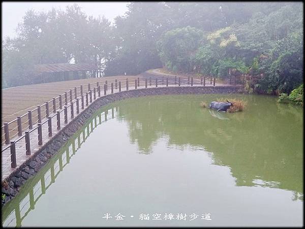 貓空樟樹步道-1_014.jpg