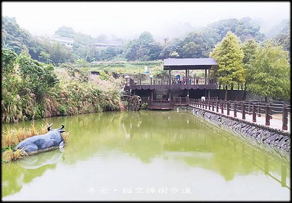 貓空樟樹步道-2_001.jpg