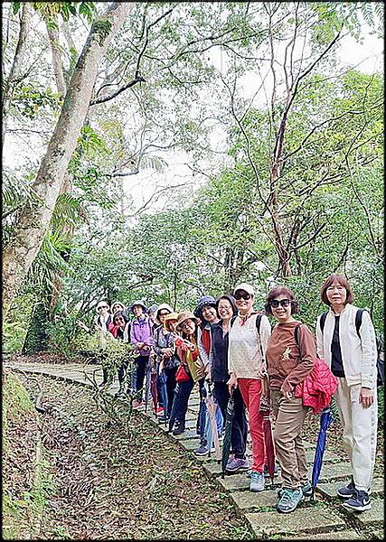 坪林石雕公園蕨類步道_021.jpg