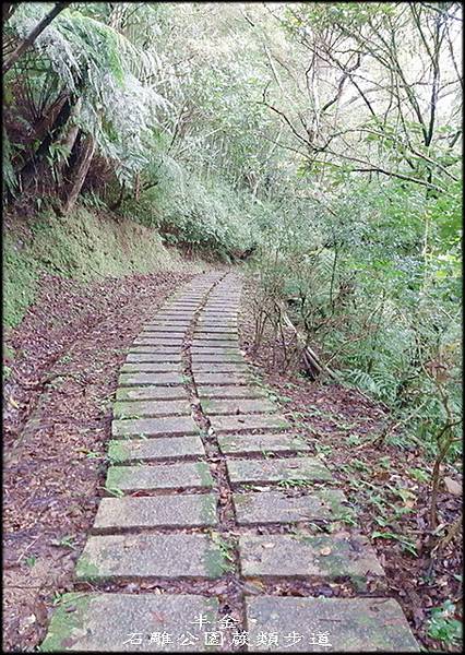 坪林石雕公園蕨類步道_041.jpg