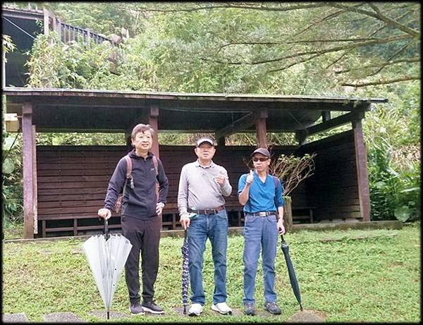 坪林石雕公園蕨類步道-2_008.jpg