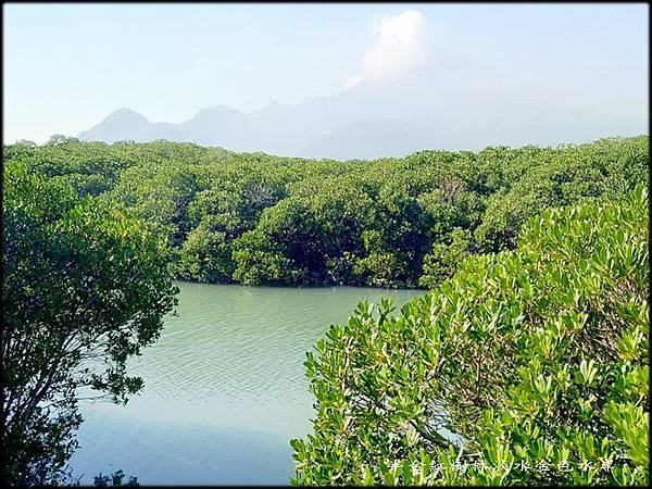 紅樹林淡水金色水岸-1_006.jpg