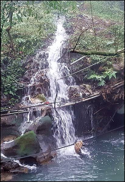 竹子湖水車寮步道_007.jpg