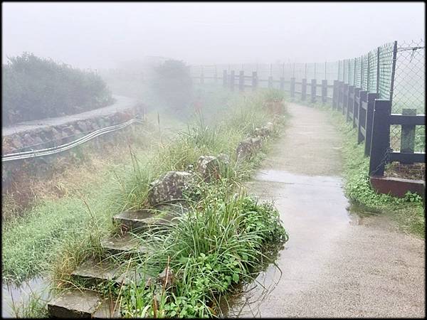 竹子湖水車寮步道_026.jpg