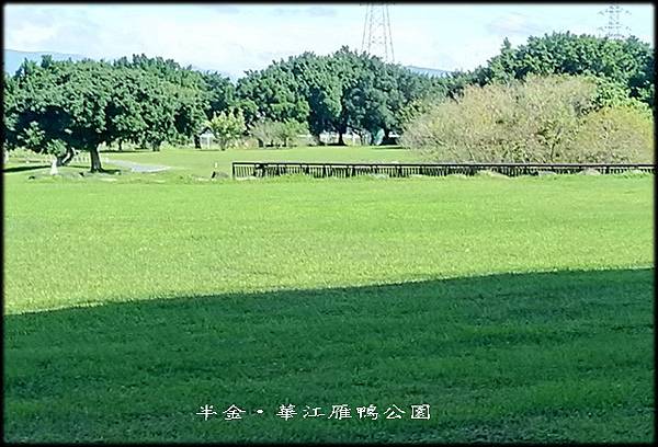 華江雁鴨自然公園_028.jpg