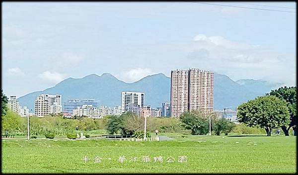 華江雁鴨自然公園_037.jpg