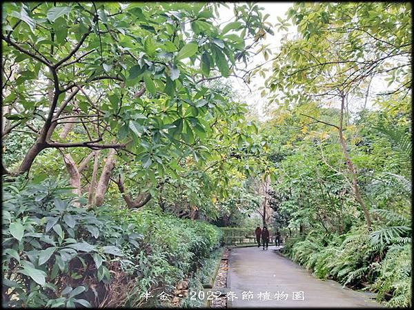 2022春節植物園_34.jpg