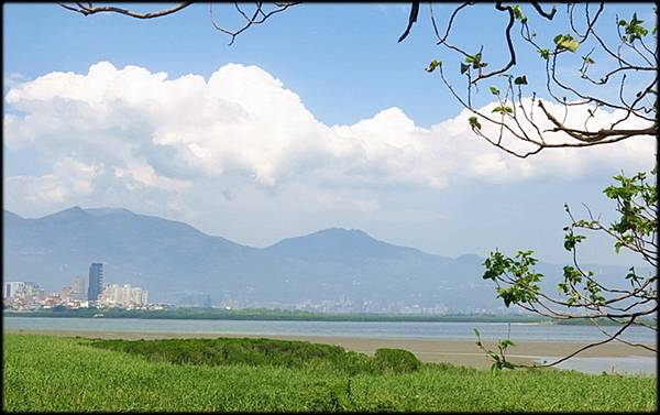 八里左岸－觀音坑溪橋_023.jpg