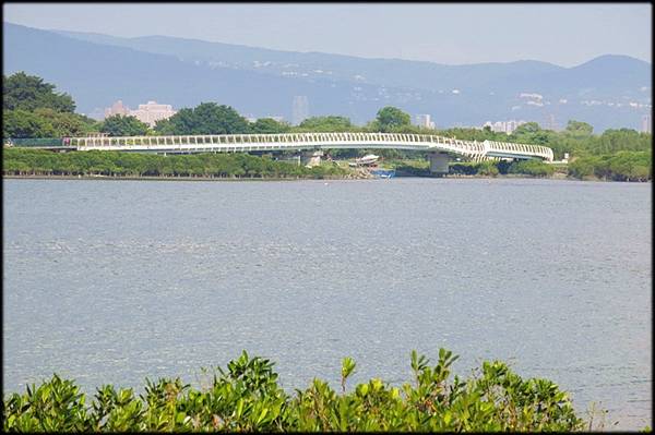 八里左岸－觀音坑溪橋_041.jpg