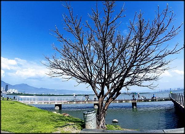 八里左岸－觀音坑溪橋-3_036.jpg