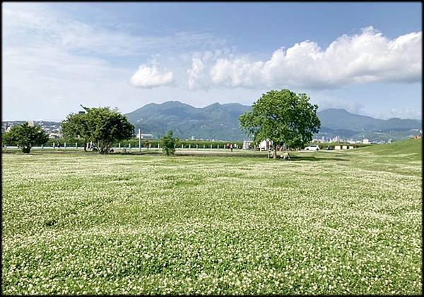 社子島島頭公園-2_004.jpg