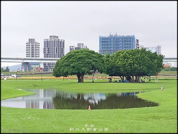 新北大都會公園-2_056.jpg