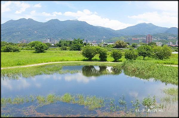 社子島濕地_001.jpg