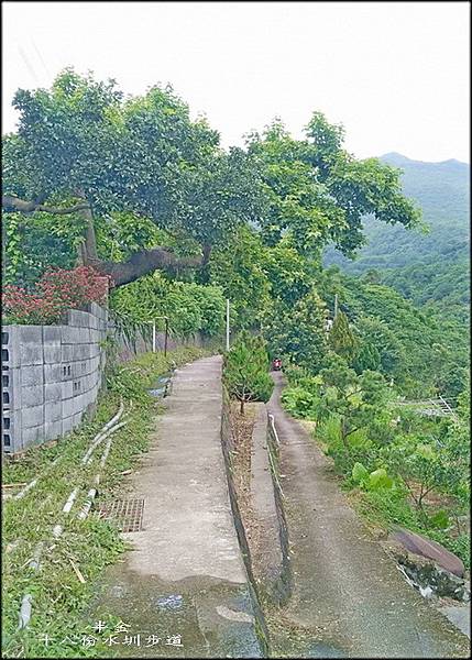 十八份水圳步道-1_009.jpg