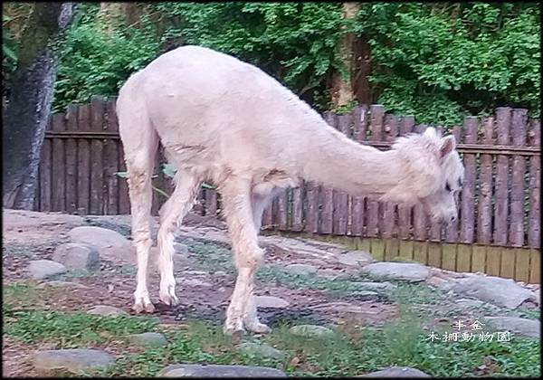 木柵動物園-1_00113.jpg