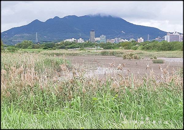 社子島自行車步道_006.jpg