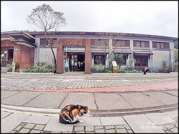 猴硐貓村-2_037.jpg