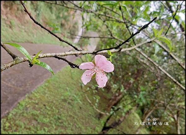 石碇淡蘭古道_016.jpg