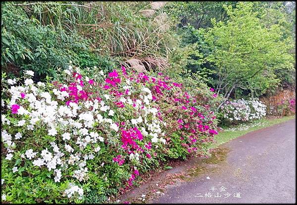 二格山步道_015.jpg